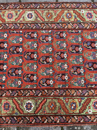 Antique Bakhshaiesh Rug, 232 x 93 cm., ca. 1900. Former private collection of mr. Gans, co-writer of the Gans-Ruedin rug books.            