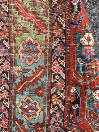 Antique Bakhshaiesh Rug, 232 x 93 cm., ca. 1900. Former private collection of mr. Gans, co-writer of the Gans-Ruedin rug books.            