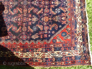This estate-bought Malayer (circa 1900) had so much dirt in it you could have planted a garden on top.  Fortunately, the rug cleaned up nicely and is in surprisingly good condition.  ...