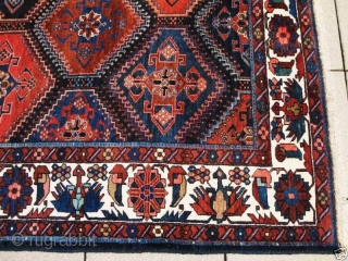 Antique Bakhtiari circa 1920.  Fine weave.  Size 10’11" x 7’6".                     