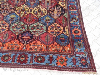 19th century Bakhtiari.  Super saturated colors.  Approximately 12'6"x7'1".                       