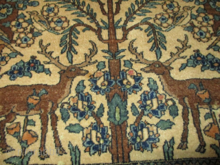 Antique Fereghan Sarouk Persian Oriental Rug 4’7” X 6’8” #8157
This last quarter 19th century Fereghan Sarouk measures 4’7” X 6’8”. It has a tree of life motif with two trees that have  ...