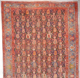 #7558 Heriz

This circa 1910 antique Heriz Oriental Carpet measures 6’10” X 13’9” (210 x 423 cm). This to my eye is a unique Heriz. I have never seen this design in a  ...