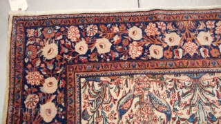 #7206 Fereghan Sarouk
This circa 1900 Fereghan Sarouk measures 4’1” X 6’9”. It has a meditation design with birds and flowers.  It has tomato red spandrels containing birds and trees.  It has a  ...