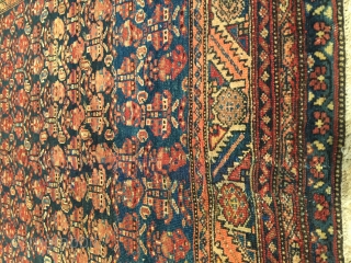 Antique Shirvan Oriental Rug 4’6” X 7’0” #7852

Age: circa 1890

Size: 4’6” X 7’0″
https://antiqueorientalrugs.com/product/antique-shirvan-oriental-rug-46-x-70-7852/                    