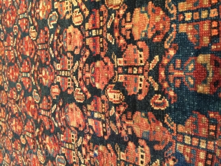 Antique Shirvan Oriental Rug 4’6” X 7’0” #7852

Age: circa 1890

Size: 4’6” X 7’0″
https://antiqueorientalrugs.com/product/antique-shirvan-oriental-rug-46-x-70-7852/                    