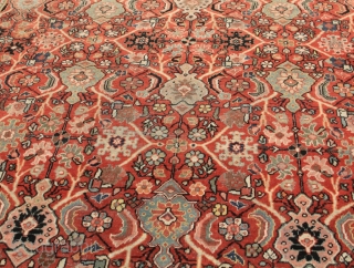 rugrabbit note: Please stop posting auction pieces in the general listings.

 All auction items must be featured.

All rugs posted should be antique or collectible.

This account will be blocked if our posting guidelines  ...