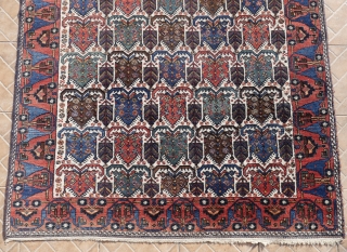 Afshar rug, probably Aqta, 198 x 146 cm. (6,5ft x 4.8ft) Early 20 th. century The white ground with  shield design, consisting of stylised lotus blossoms, flanked by trees. Good, strong  ...