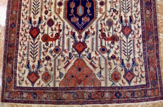 Neriz rug, 135 x 185 cm. Afshar subgroup with typical white ground  and  various bird motifs.               