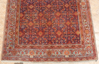 Malayer Main carpet, 305 cm. x 156 cm. early 20 th. century. Allover "herati" design on a subtle abashed dark blue ground.
 Great colours in terracotta, salmon and mint-green. Attractive pale-blue main  ...