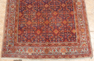 Malayer Main carpet, 305 cm. x 156 cm. early 20 th. century. Allover "herati" design on a subtle abashed dark blue ground.
 Great colours in terracotta, salmon and mint-green. Attractive pale-blue main  ...