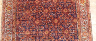 Malayer Main carpet, 305 cm. x 156 cm. early 20 th. century. Allover "herati" design on a subtle abashed dark blue ground.
 Great colours in terracotta, salmon and mint-green. Attractive pale-blue main  ...