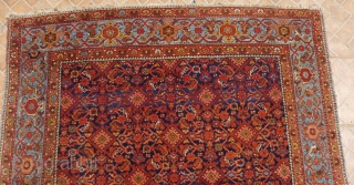 Malayer Main carpet, 305 cm. x 156 cm. early 20 th. century. Allover "herati" design on a subtle abashed dark blue ground.
 Great colours in terracotta, salmon and mint-green. Attractive pale-blue main  ...