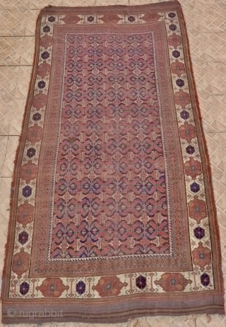 Afshar Rug, Bardsir.  265 x 145 cm. Around 1875. Allover ¨fish¨design with attractive with ground border. Original kilim ends. Condition: Overall low pile with some corner and side-cord damage.   