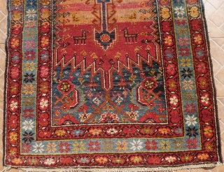 A Kurdish Kelardasht Runner, North Hamadan region, circa 1910
Dynamic red abrashed ground with two elongated medallions, surrounded by animal motifs.
Areas of some wear.
          