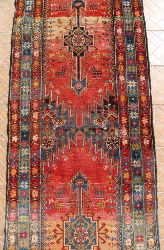 A Kurdish Kelardasht Runner, North Hamadan region, circa 1910
Dynamic red abrashed ground with two elongated medallions, surrounded by animal motifs.
Areas of some wear.
          