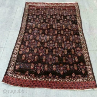 Turkman Yamoud 

146 x 235 cm

Beautiful rug                          