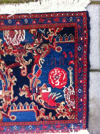 Senneh Rug Size: 55 x 88cm, nice drawn and good condition                      