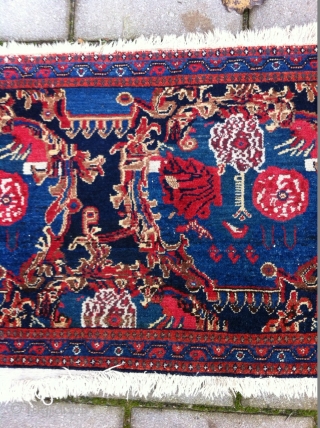 Senneh Rug Size: 55 x 88cm, nice drawn and good condition                      