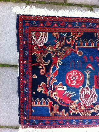 Senneh Rug Size: 55 x 88cm, nice drawn and good condition                      