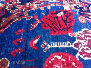 Senneh Rug Size: 55 x 88cm, nice drawn and good condition                      