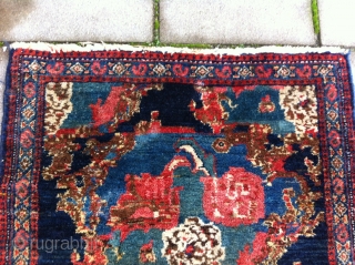 Senneh Rug Size: 63 x 98 cm, beautiful drawing and colors, in a good condition (a little moth damage)              