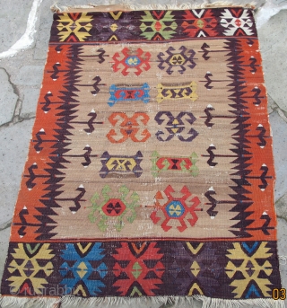 Rare diminutive Central Anatolian kelim with beautiful natural dyes including a deep aubergine,
and green on a camel field, circa 1800, 52" X 36"[133 X 0.92cm]

































        