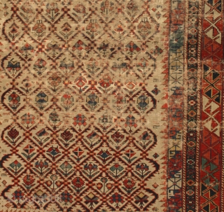 Antique Caucasian Shirvan Rug,

Size cm:140 x 100,
Size ft:4'8 x 3'4,
Code No:R6043,
Availability:In Stock,
This rug is over hundred years old and some major damage
           