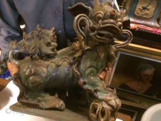 Very Rare hard to find PAIR Chinese Large size Old Junyao Porcelain Foo Dogs.
Size 27'' tall and 20'' wide.              