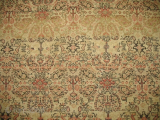 Antique finest Persian Senneh.  Excellent condition.  Abrash in field.

4'6'' X 6'

Please check out our entire inventory at www.rugsrusonline.com             