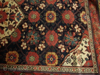 Dated 1269 AH = 1852 AD. A Koliayee Kurdish rug measuring 9'x5.5' = 278 X 165 cm, masterfully rewoven ends, original sides, tightly clipped with no visible collars.
     