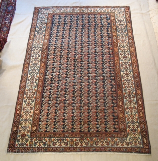 Antique Malayer rug very nice colours and nice condition all orginal size:1,96 X 1,40 cm Circa 1900                