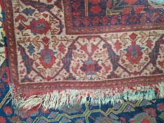 Antique Avshar rug amazing colors and in good condition all original size 1,50 x 1,25 cm Circa 1850               