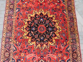 Persian Bahtiar Rug all original amazing wool and colors like serapi and full pile size 3,15x2,10 cm and  Circa 1900-1910            