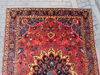 Persian Bahtiar Rug all original amazing wool and colors like serapi and full pile size 3,15x2,10 cm and  Circa 1900-1910            