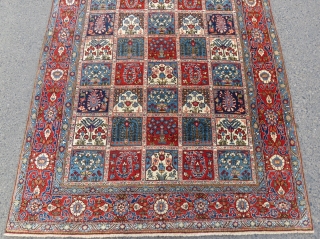 Persian Qoom rug 1001 nights design wonderful colors and excellent condition all original Circa 1950                  