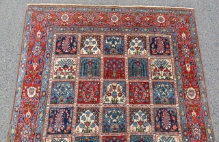 Persian Qoom rug 1001 nights design wonderful colors and excellent condition all original Circa 1950                  