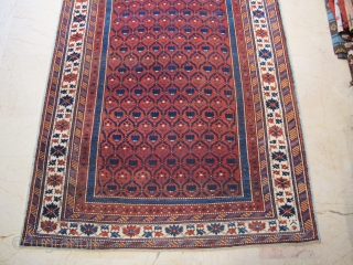 Antique Caucasian Kuba Shirvan wonderful colours and excellent condition some restoration, size: 2,60 X 1,70 cm Circa 1880               