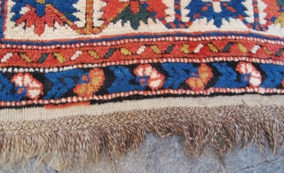 Caucasian Konakent Shirvan excellent condition very nice colors and size 2,05x1,34 cm (81 X 53  inches ) Circa 1900             