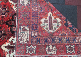 Persian bakhtiari rug wonderful colors , excellent condition all original and very fine quality size 2,96x2,20 cm Circa 1900-1910  
if you want to see more pictures please request l will be  ...