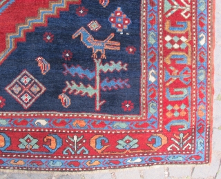 Antique Caucasian Kasak is wonderful colors and excellent condition all orginal no tuch hand just we washed and ready size:2,46x1,78 cm Circa 1880 it has very nice apricots color and with nice  ...
