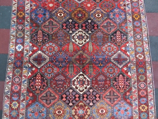 Iran Bahtiary rug wonderful colors and excellent condition all original size 3,08x2,15 cm Circa 1910-1915                  