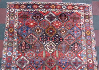 Iran Bahtiary rug wonderful colors and excellent condition all original size 3,08x2,15 cm Circa 1910-1915                  