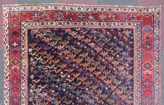 Khamseh Birds Rug wonderful colors and excellent condition full pile all original size 2,00x1,60 cm Circa 1890-1900                