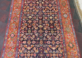 Malayer Gallerie Carpet wonderful colors and excellent condition all original size 5,20x2,08 cm Circa 1900-1910                  