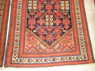 Persian Ferhan runner pair wonderful colours and excellent condition all ower design size:3,00 X 1,00 cm                 