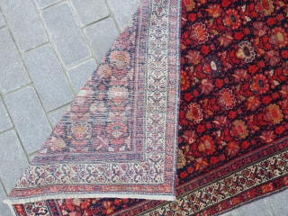 Malayer rug wonderful colors and very good condition all original 
Side silk exhibited and size  1,91x1,28 cm Circa 1910-1915             