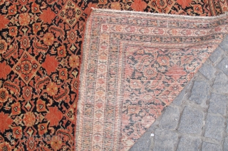 Antique Malayer rug is size 2,00x1,37 cm Circa 1910                        