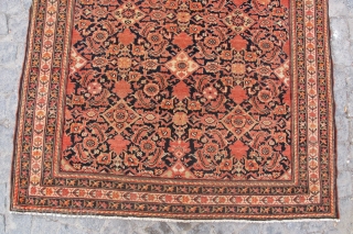 Antique Malayer rug is size 2,00x1,37 cm Circa 1910                        