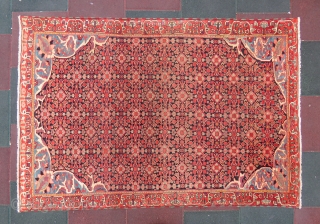 Antique Persian Malayer rug in very nice condition and very nice colours, all original. Circa: 1910-15.

Size:200x135 centimeters.                